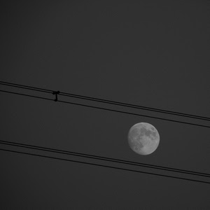 luna, fili, bianconero, cielo, cavi, notte, crateri, parallele, paralleli, piena, linee