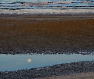 luna, mare, riflesso, spiaggia, sabbia, onde, acqua