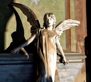 angelo, ali, ombra, statua, scultura, marmo, braccia, tomba, mani, sarcofago, chiesa, capelli, scritta, cimitero, viso