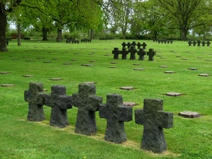 alberi, croci, cimitero, erba, verde, prato, lapidi, tombe, cinque, rami