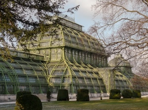 rami, verde, prato, serra, alberi, vetro, cielo, architettura, cespugli, edificio, vetri, piante, finestre, foglie, siepi, ferro