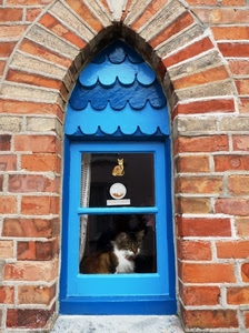 gatto, azzurro, mattoni, finestra, arco, blu, porta
