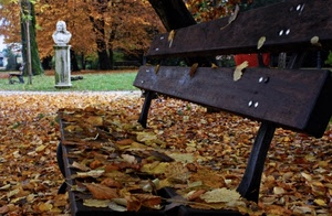 foglie, autunno, panchina, statua, alberi, parco, busto, giardino, monumento