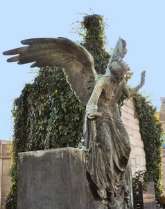 angelo, ali, statua, edera, marmo, monumento, cimitero, tomba, verde