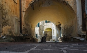 gatto, arco, strada, vicolo, animale, porta, gradini, archi, portico