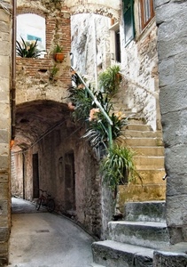 vicolo, scala, porte, piante, arco, gradini, vasi, scalini, fiori, scale, ringhiera, bicicletta, finestra, finestre, archi