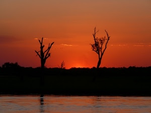 tramonto, alberi, acqua, rosso, cielo, arancione, controluce, rami, riflesso