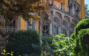 liberty, verde, finestre, colonne, palazzo, piante, balcone, rami, foglie, ringhiera
