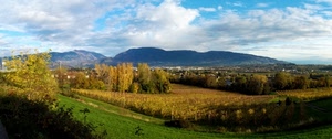 nuvole, alberi, cielo, montagne, verde, colline, azzurro, panorama, autunno, giallo, paesaggio, erba, bianco, filari, campagna, coltivazione
