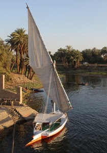 vela, barca, acqua, palme, fiume, alberi, piante, lago, cielo