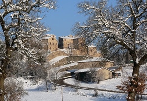 neve, alberi, case, inverno, strada, paese, rami, bianco