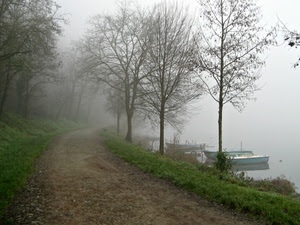 nebbia, alberi, barche, sentiero, lago, acqua, fiume, strada