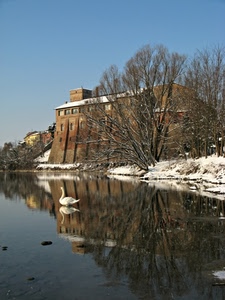 cigno, riflesso, neve, fiume, alberi, acqua, castello