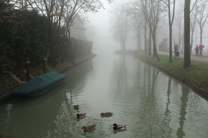nebbia, alberi, acqua, barca, anatre, fiume, persone, canale, papere, riflessi, torrente, uccelli, viale, riflesso