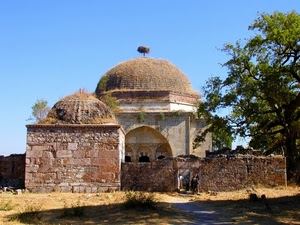 cupole, albero, muro, nido, porta, arco, ruderi, pietre, erba, alberi