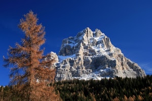 neve, montagna, albero, cielo, cima, bosco, inverno, roccia, alberi