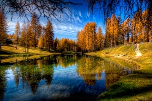 alberi, lago, autunno, acqua, riflesso, cielo, riflessi