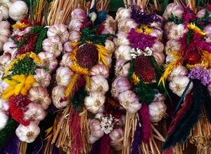 aglio, fiori, giallo, rosso, colori, trecce, spighe, bianco, verde, paglia, ortaggi, viola, multicolore, cipolle