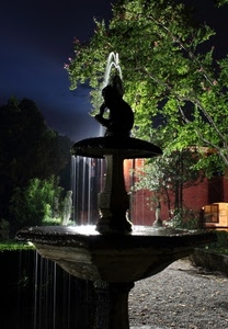 fontana, acqua, notte, alberi, notturno, zampilli, albero, verde, cielo, statua, luci, luce
