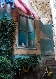 finestra, panni, pianta, murales, murale, colombo, nuvole, muro, dipinto