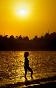 mare, donna, controluce, tramonto, sole, giallo, silhouette, alberi