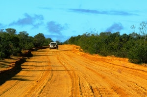 cielo, strada, alberi, terra, nuvole, auto, automobile, verde, giallo, tracce, sterrato, jeep, cespugli, macchina, azzurro, sabbia