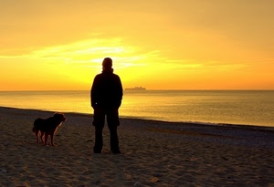 cane, mare, tramonto, spiaggia, controluce, uomo, giallo, nave, alba