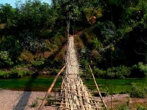 ponte, fiume, acqua, verde, alberi, legno, passerella, piante, bosco, bambù