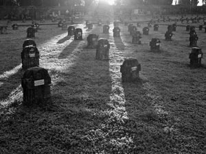 cimitero, tombe, controluce, lapidi, ombre, bianconero, luce, erba, sole