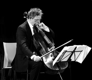 musicista, spartito, leggio, bianconero, violoncello, arco, musica, strumento, sedia