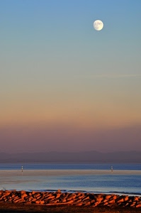 luna, mare, spiaggia, acqua, tramonto, cielo, scogli, sabbia