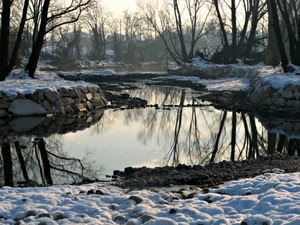 neve, fiume, alberi, acqua, inverno, riflessi, riflesso