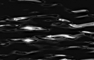 acqua, onde, riflessi, bianconero, riflesso, astratto, sole, nero, luce