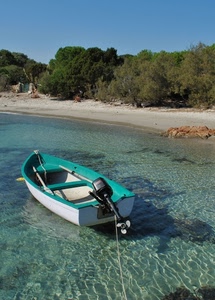 barca, spiaggia, mare, alberi, acqua, motore, verde, remi