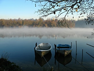 nebbia, barche, lago, acqua, barca, fiume, riflessi, natura, rami, alberi