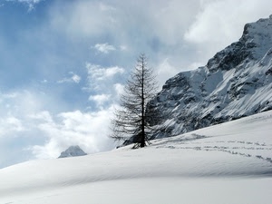 neve, montagna, albero, nuvole, inverno, bianco, cielo, orme