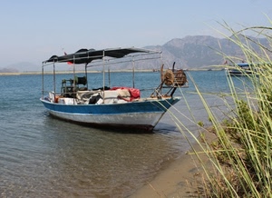 barca, mare, azzurro, riva, acqua, montagne, lago, erba, pesca, sabbia
