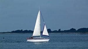 barca, mare, vela, acqua, vele, bianco, bianca, azzurro, cielo, alberi