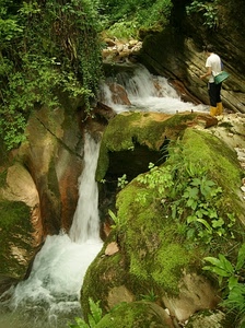 verde, cascata, acqua, foglie, rocce, piante, muschio, cascate, persona, sassi, vegetazione, roccia, pescatore