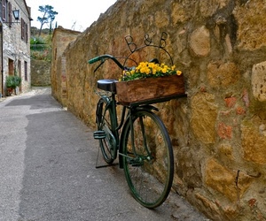 bicicletta, fiori, muro, strada, ruote, giallo, cestino, vicolo, lampione