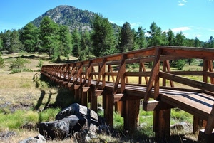 alberi, legno, montagna, ponte, verde, montagne, bosco