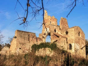 rami, castello, cielo, ruderi, rudere, rovine, chiesa, abbandono, finestre, azzurro, piante