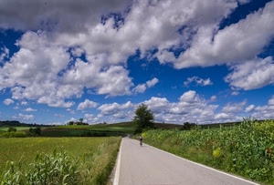 strada, nuvole, cielo, verde, campi, ciclista, erba, prato, paesaggio, albero