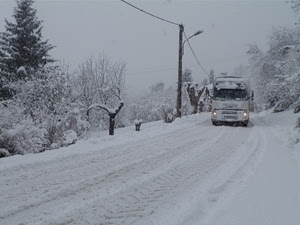 neve, strada, camion, alberi, inverno, bianco, lampione