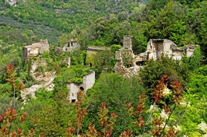 ruderi, rovine, verde, alberi, piante, abbandono, case, bosco