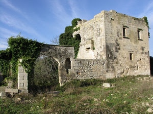 verde, arco, rudere, edera, prato, cielo, ruderi, casa, campagna, rovina, finestre, piante
