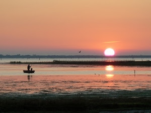 barca, tramonto, sole, pescatore, acqua, controluce, cielo, mare, riflessi, riflesso, uccelli, rosa, laguna, alba, uccello, silhouette