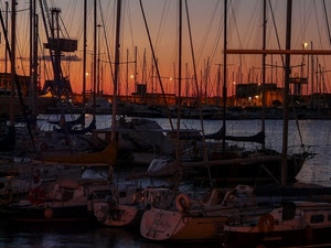 barche, tramonto, porto, mare, alberi, rosso