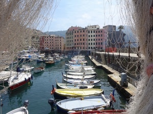 barche, porto, acqua, mare, reti, rete, palazzi, porticciolo, case