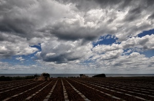 nuvole, cielo, mare, campo, prospettiva, campi, linee, orizzonte